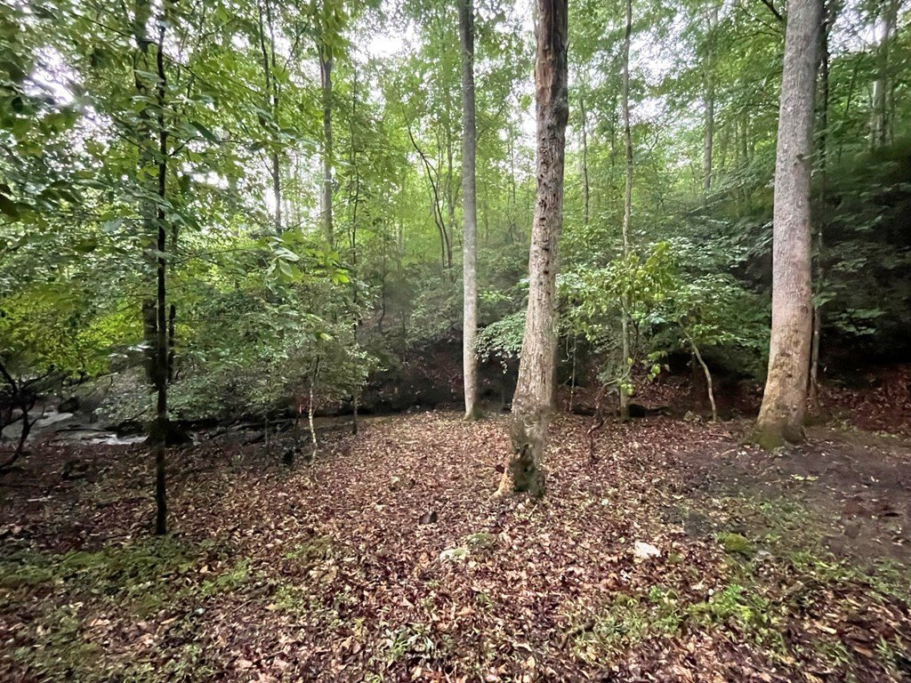 Picture 26