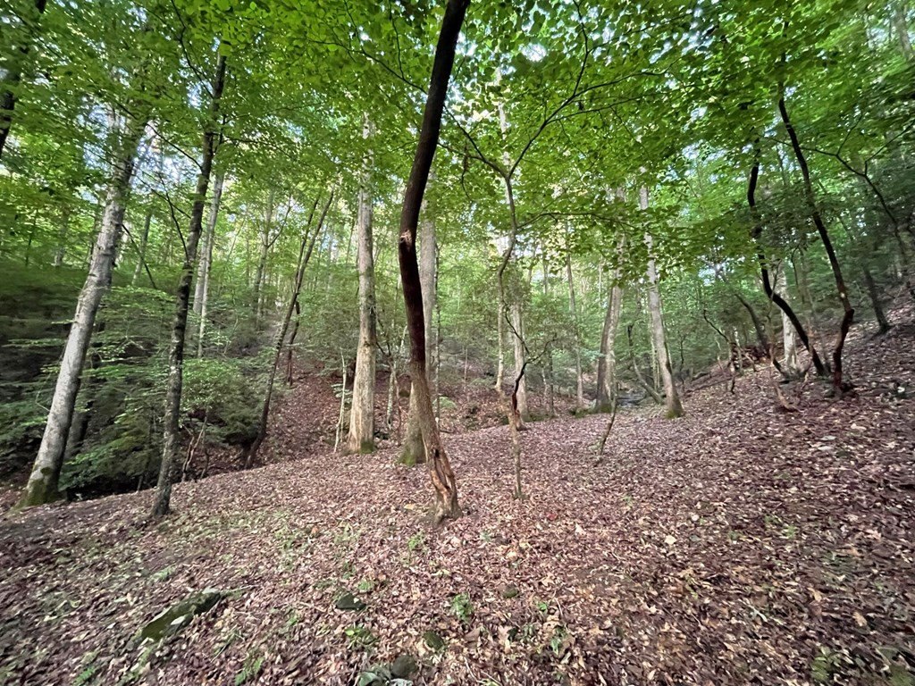 Picture 28