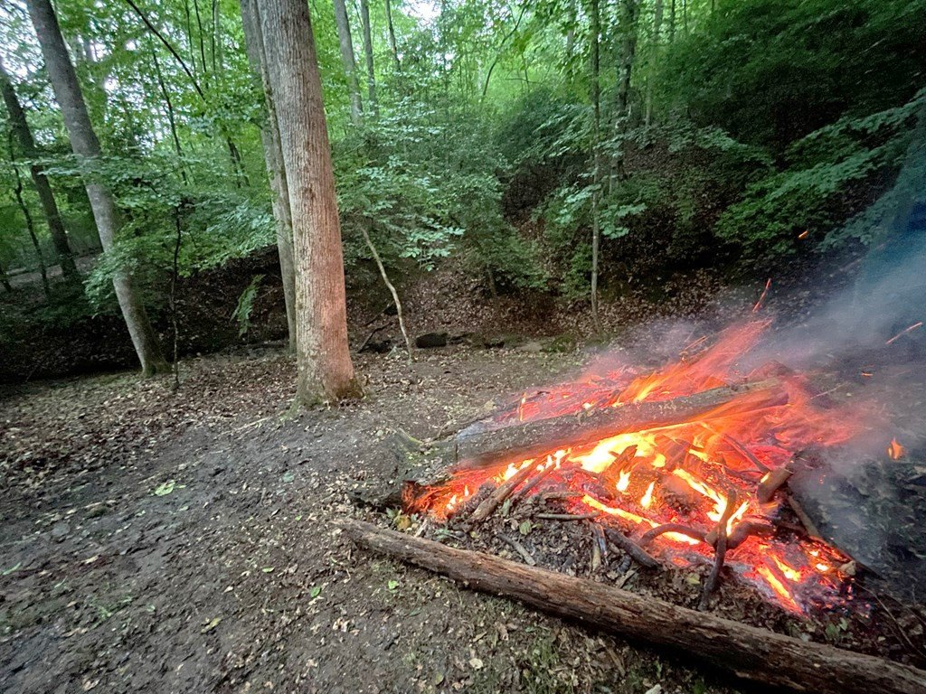 Picture 23