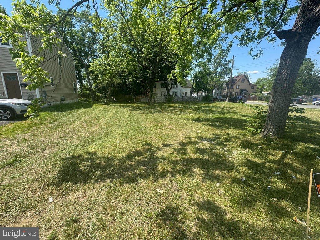 Picture 2