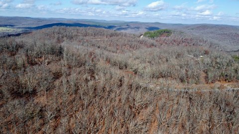 Ozark Land with National Forest Access