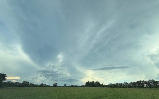 42.8 Acres Pasture Land