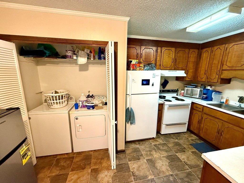 Picture 4