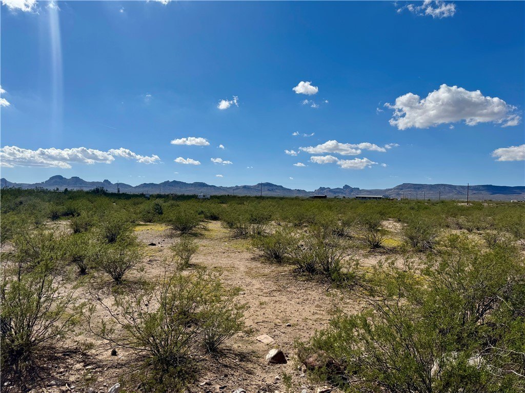 Golden Valley Land For Sale