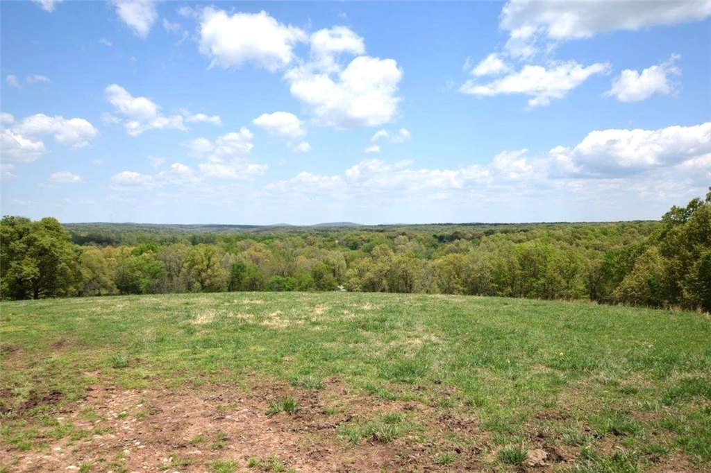 Picture 19