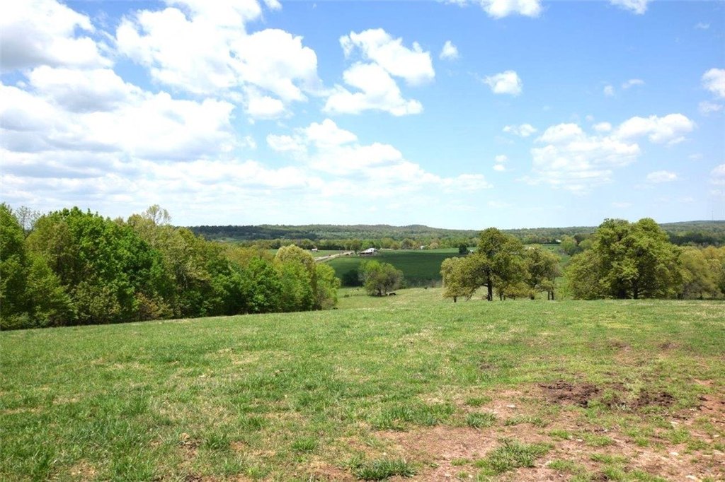 Picture 17