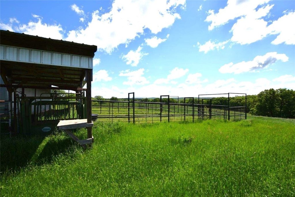 Picture 11