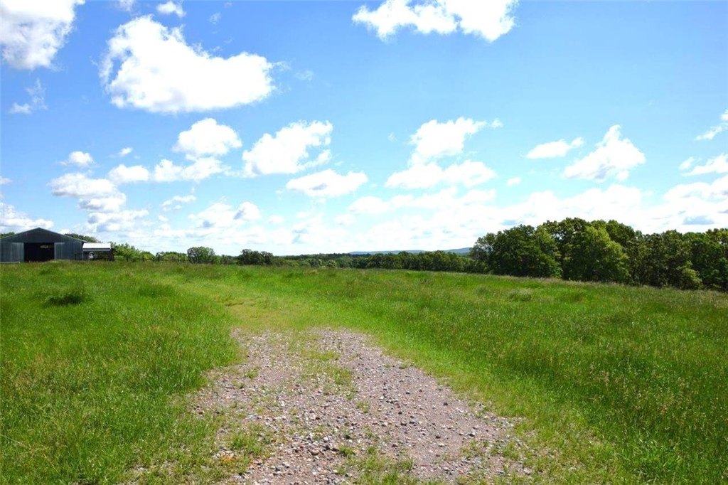 Picture 7