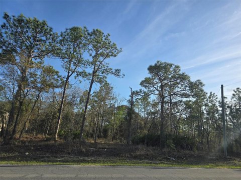 Land, WEEKI WACHEE, FL
