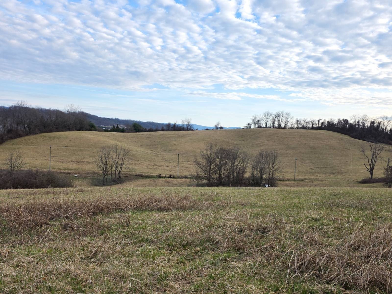40-Acre Vacant Land Opportunity