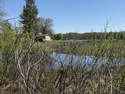 Walkerville Land Near School Section