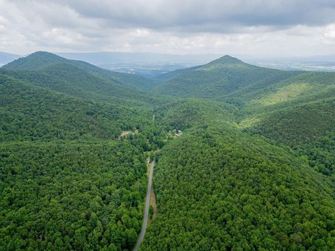 Wooded Hunting and Recreational Land