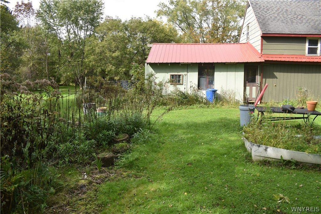 Picture 36