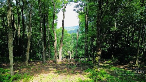 Mountain Homesite with Seasonal Views