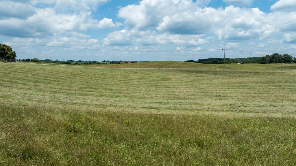 Picture 16