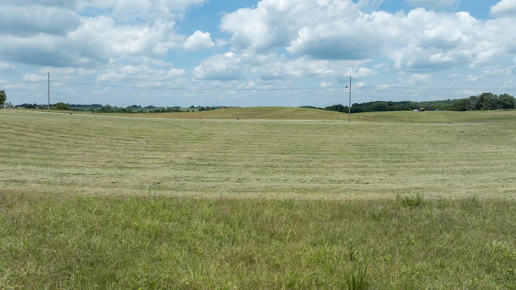 Picture 19