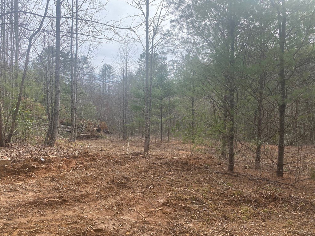 Picture 4