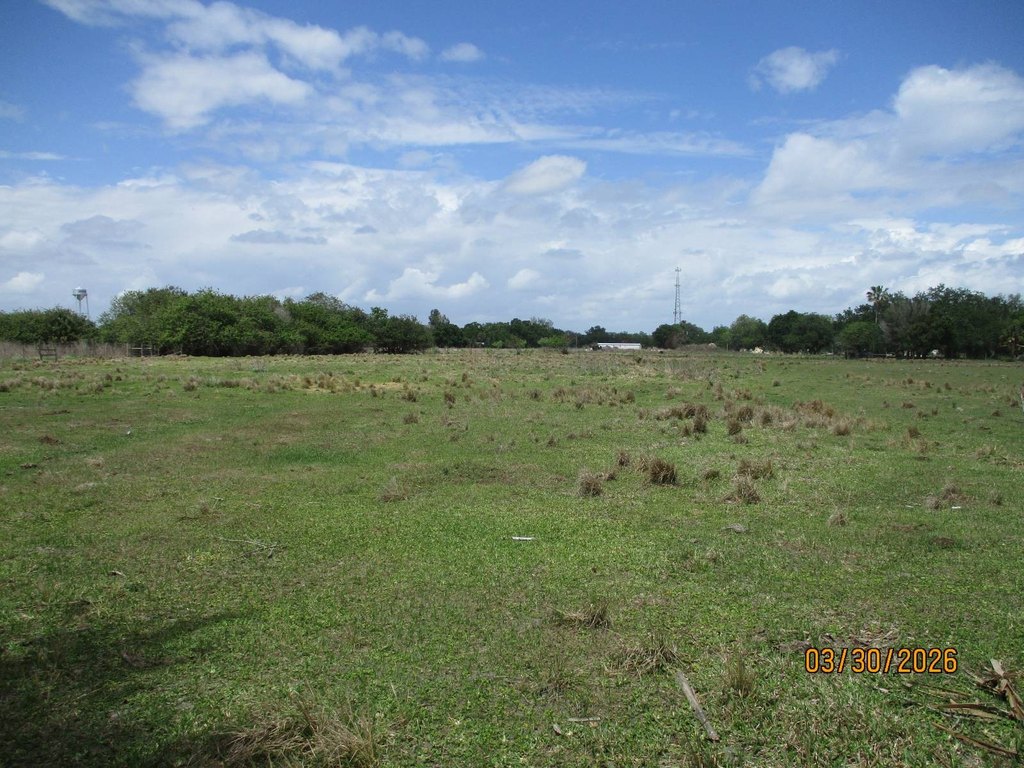 Picture 4