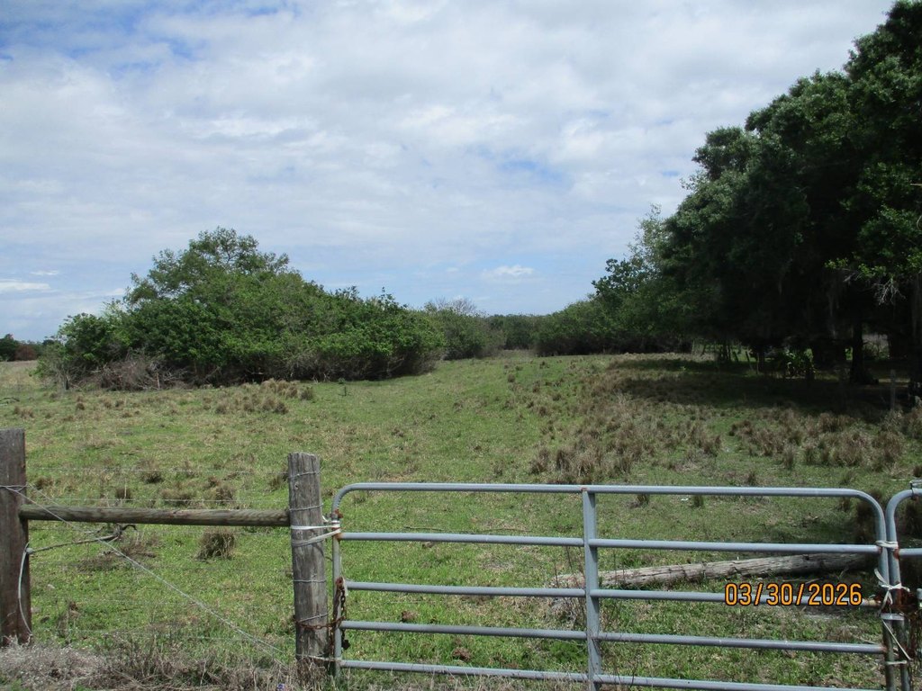 Picture 7