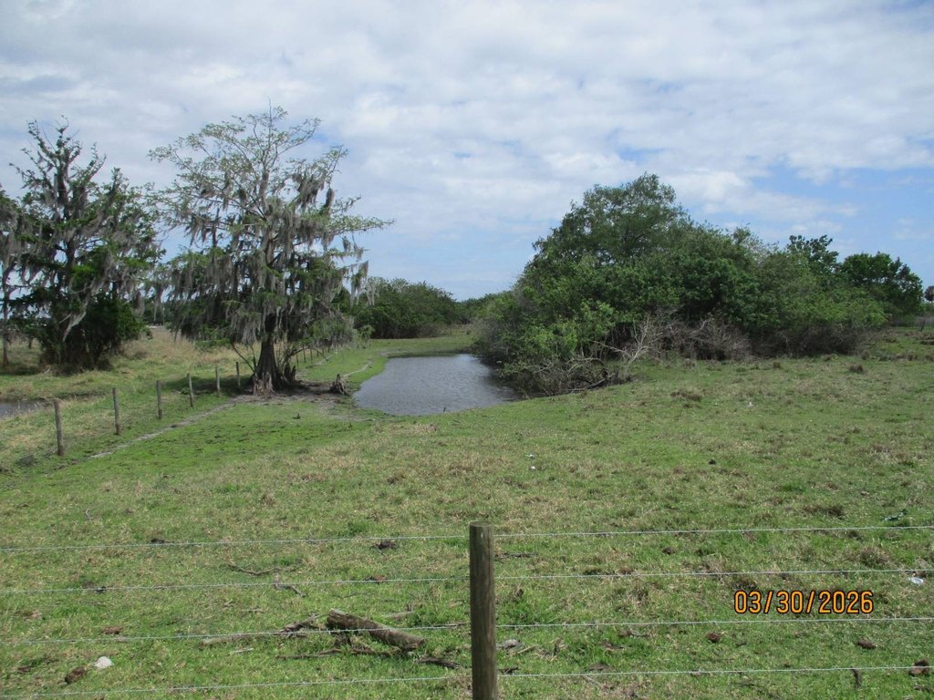 Picture 8