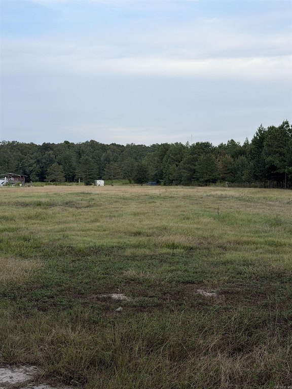 Picture 3