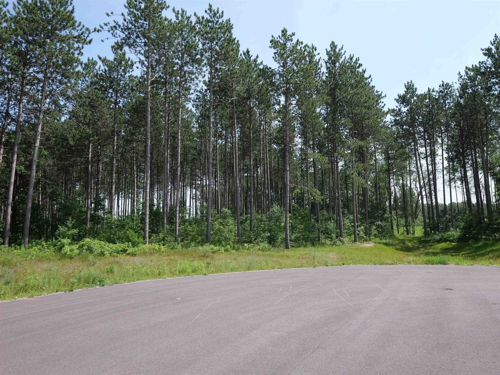 Picture 8