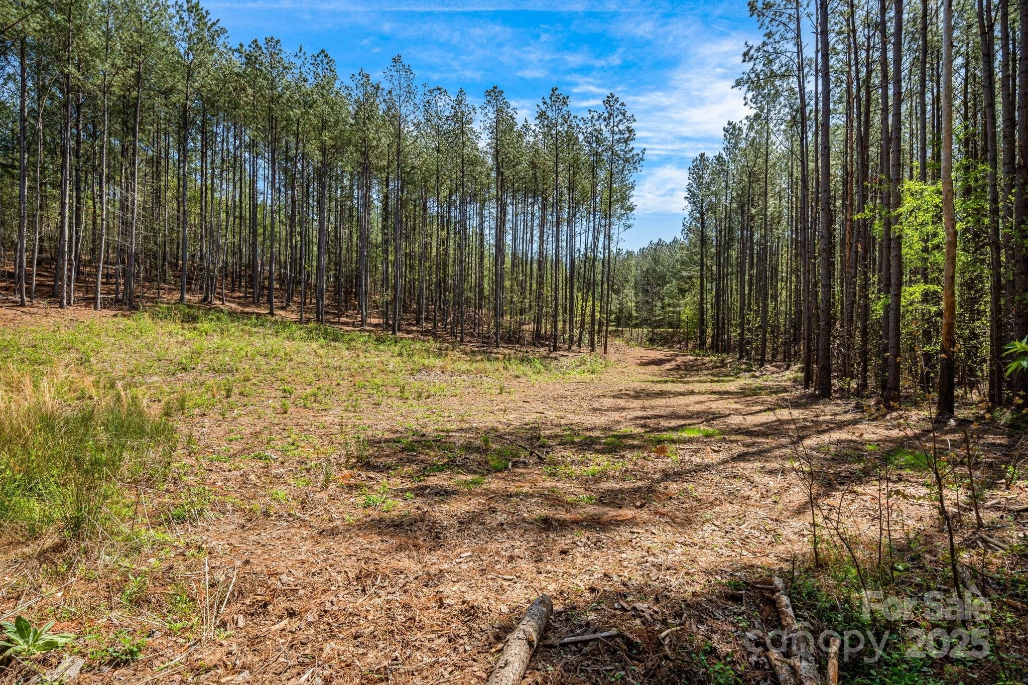 Creek Front Homesite in Hillcrest