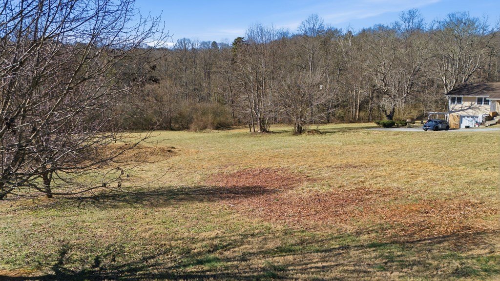 Picture 48