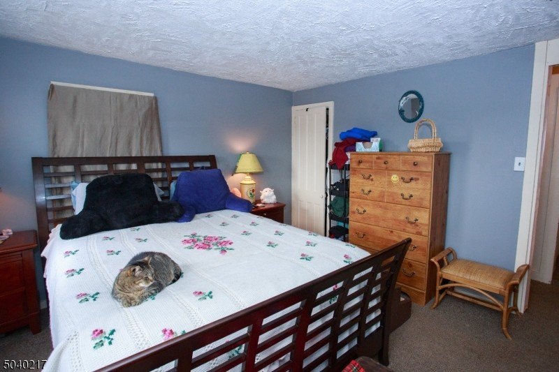 Picture 30