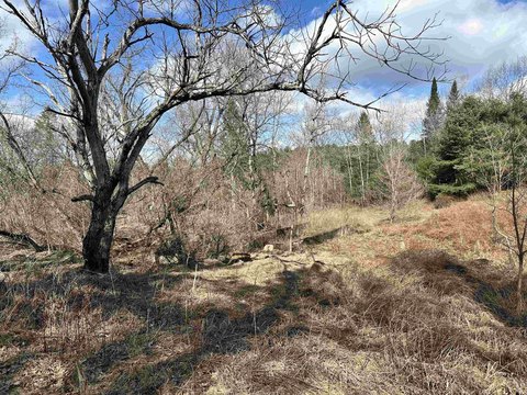 Residential Land Lot with Mixed Trees