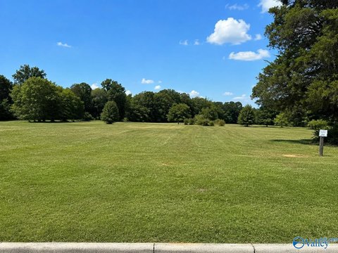 LAND - Decatur, AL