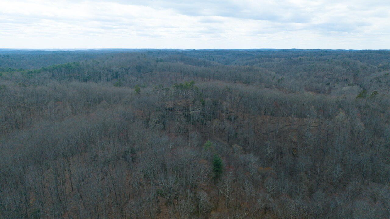 Scenic Ridgecrest Land For Sale