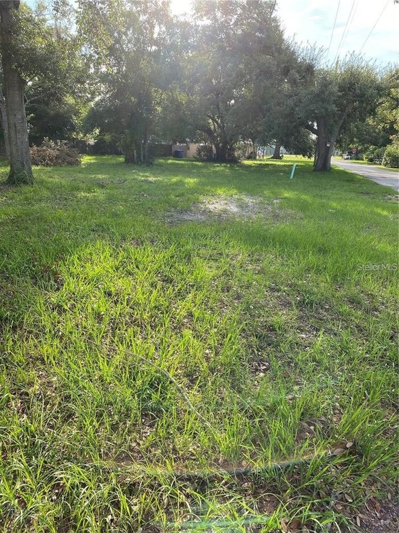 Picture 6