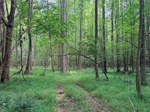 Land, Jasper, GA