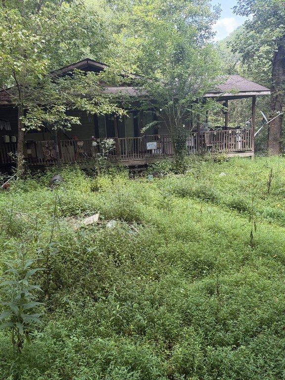 Picture 8