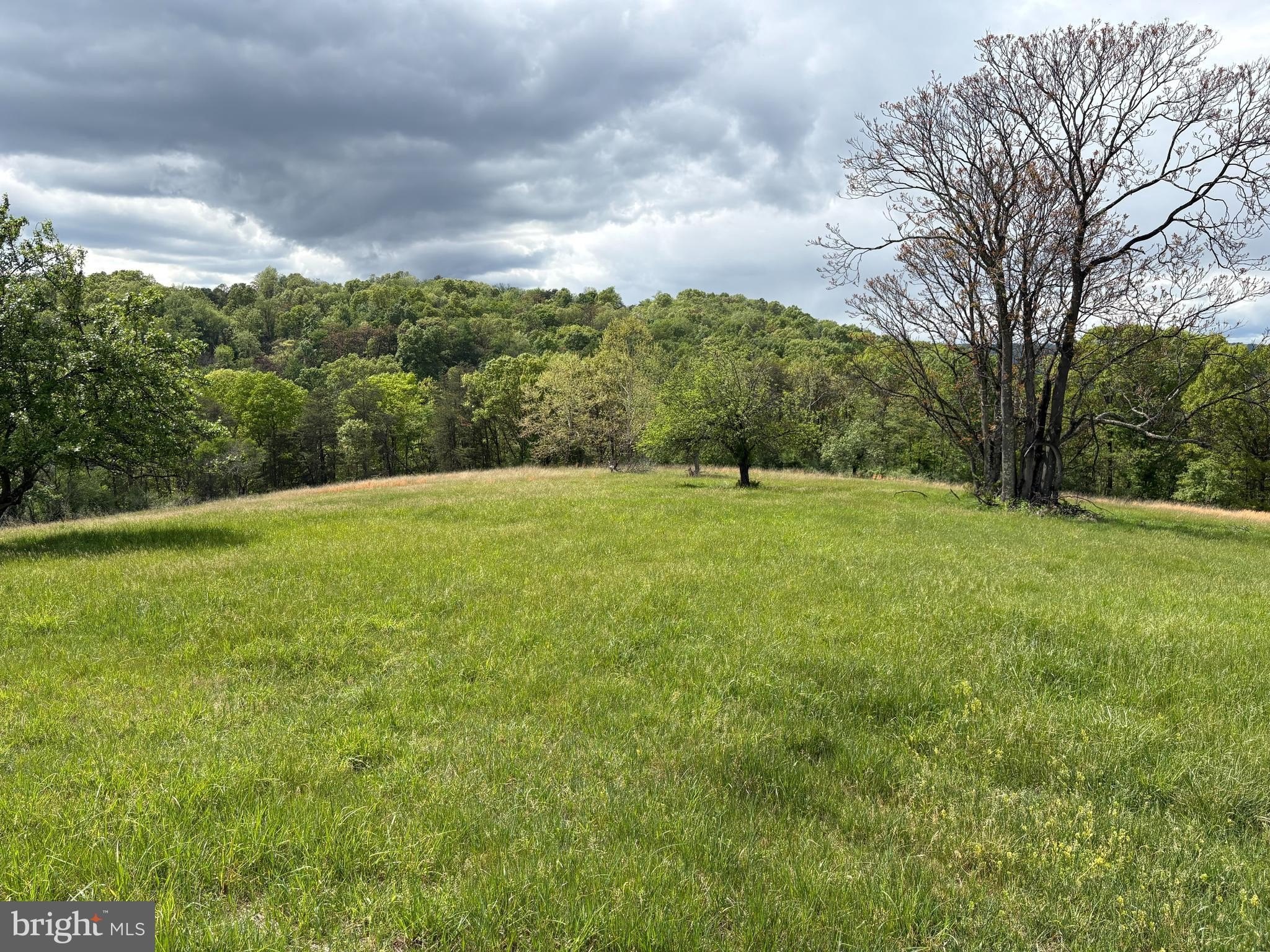 200 Acre Legacy Property in WV