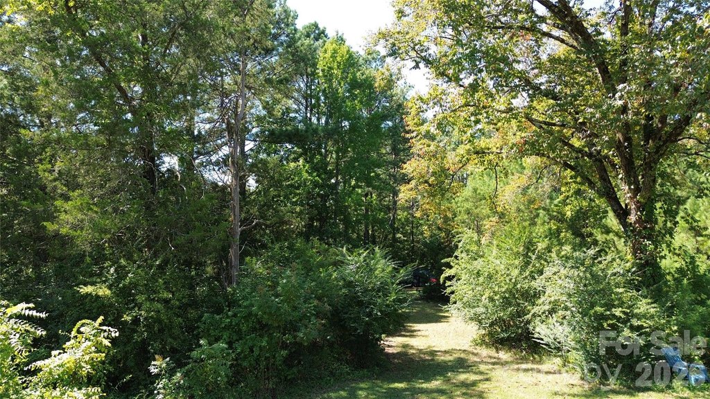 Picture 31