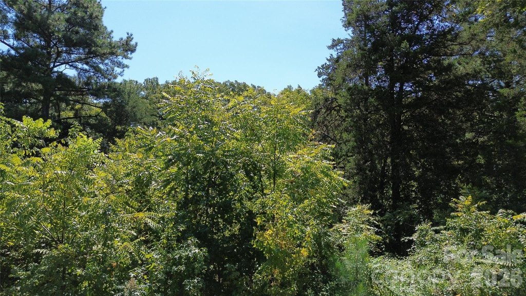 Picture 33