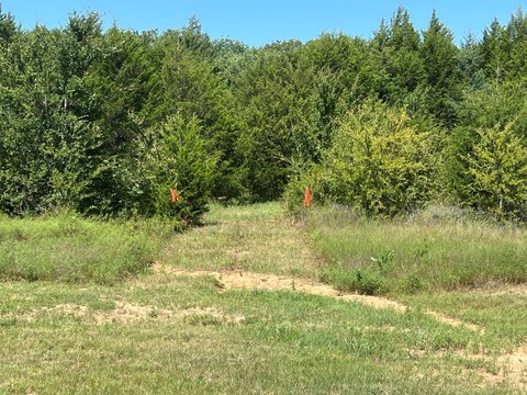 Wooded Residential Building Lot