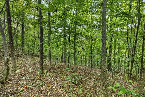 Land, Celina, TN