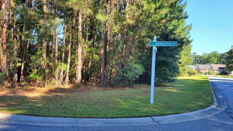 LAND, Murrells Inlet, SC