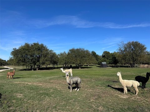 Unrestricted Ranch Acreage with Pond