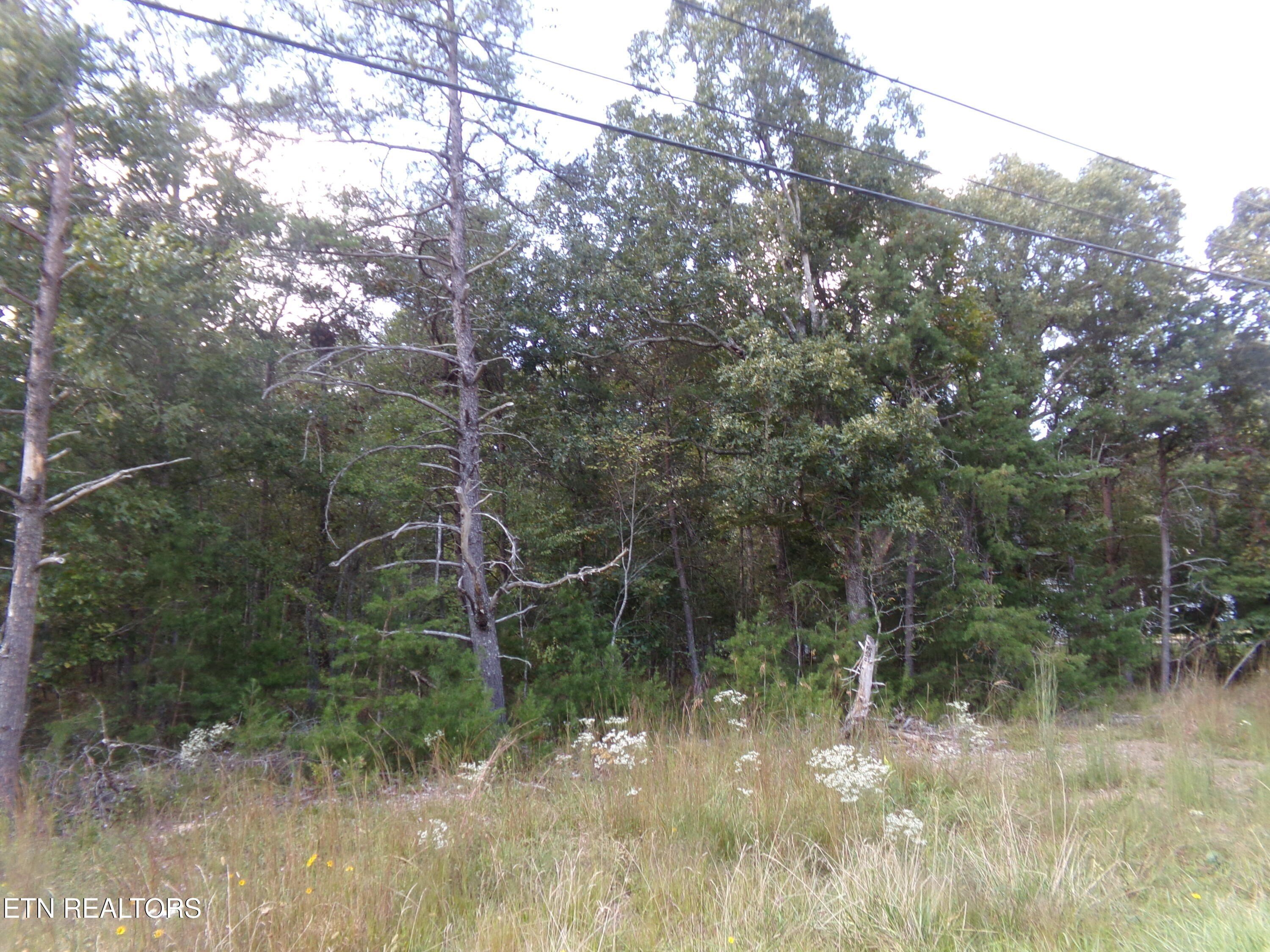 Crossville Land in Lake Tansi
