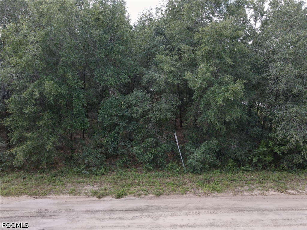 Picture 3