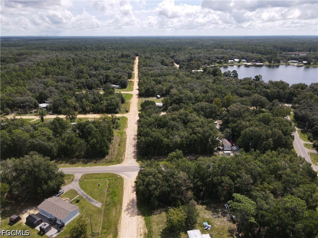 Picture 12