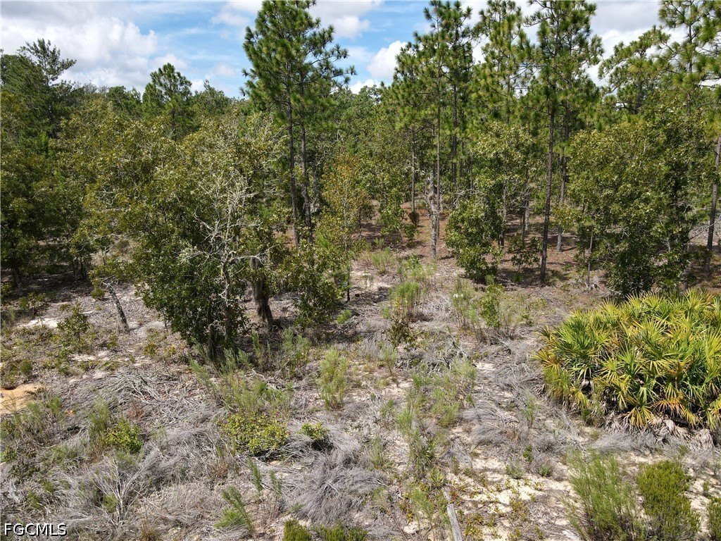 Picture 27