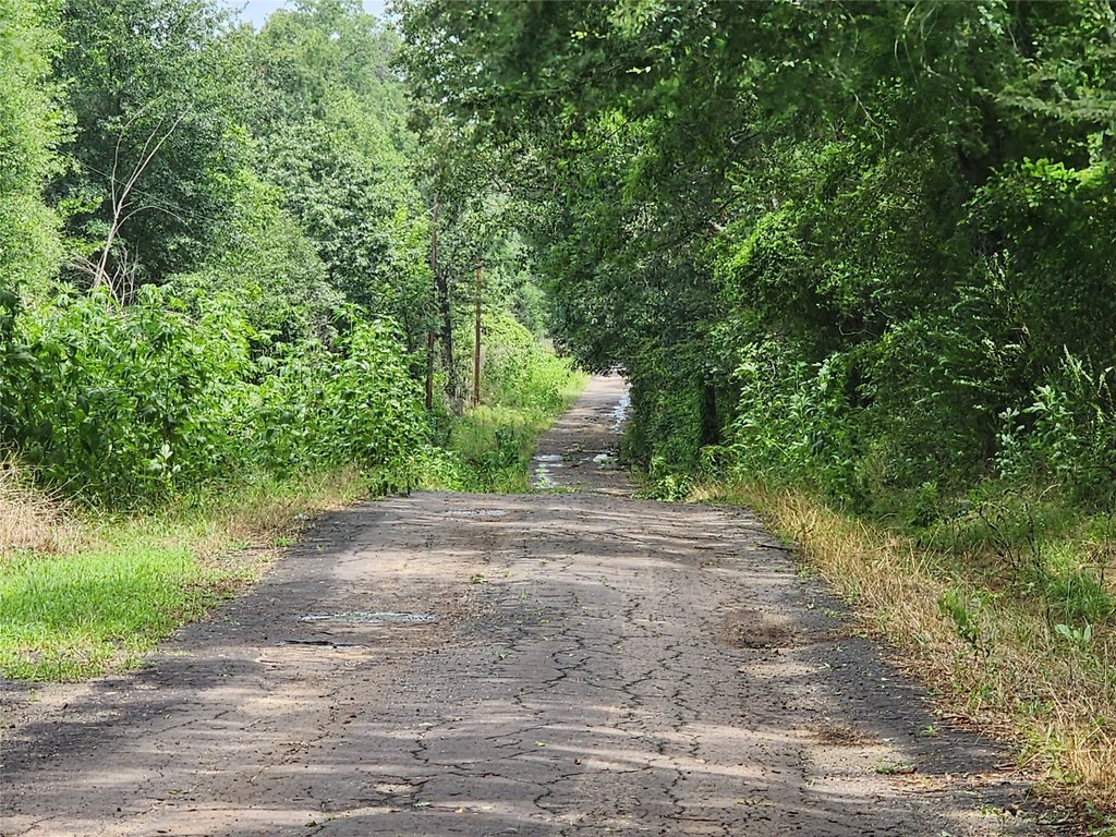 Picture 13