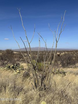 Expansive Oracle Land Parcel
