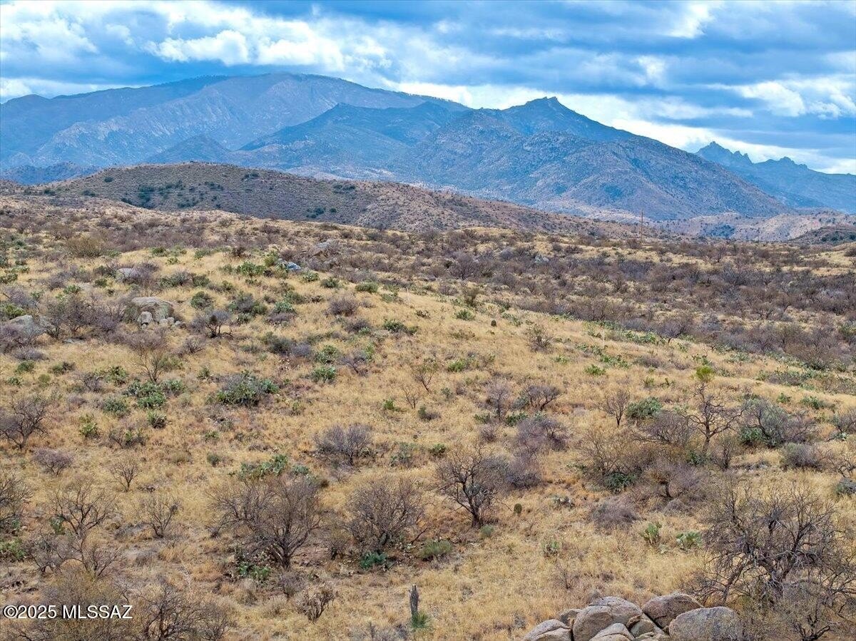 Expansive Oracle Land Parcel