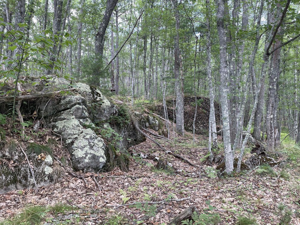 Picture 4